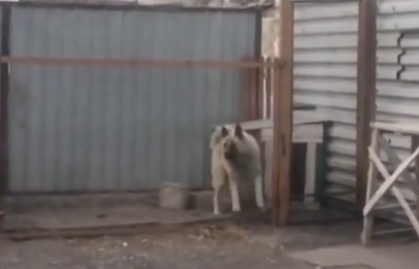 Секој сака добра музика, па зошто да не и милениците?