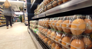 ЈАЈЦАТА НИКОГАШ ПОЛЕСНИ: Од денеска значително поевтинување, познати цените за една табла од 30 јајца?!